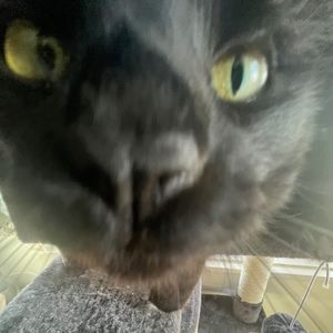 Meet your Posher, Jocelyn